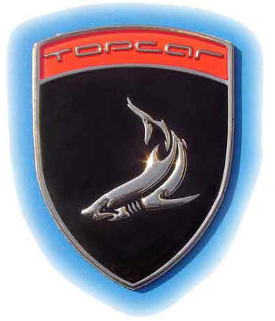 автоэмблема покрытая прозрачной смолой